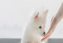 以免加剧拉稀的症状