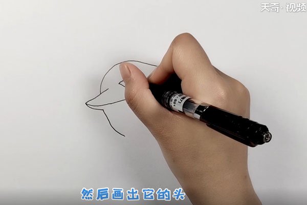 然后画出它的头