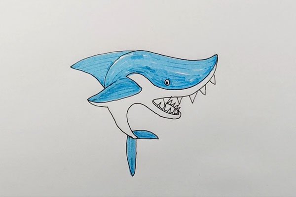 先画出鲨鱼的鱼鳍