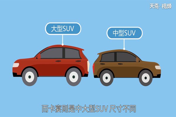 很多人以为它俩只是长得差不多